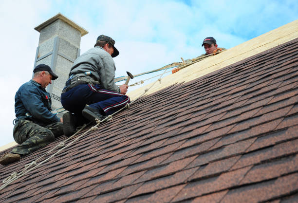 Best Shingle Roofing Installation  in Stanley, WI