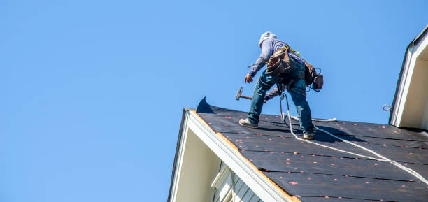 Best Roof Waterproofing Services  in Stanley, WI